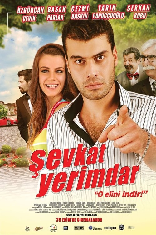 Şevkat Yerimdar — постер