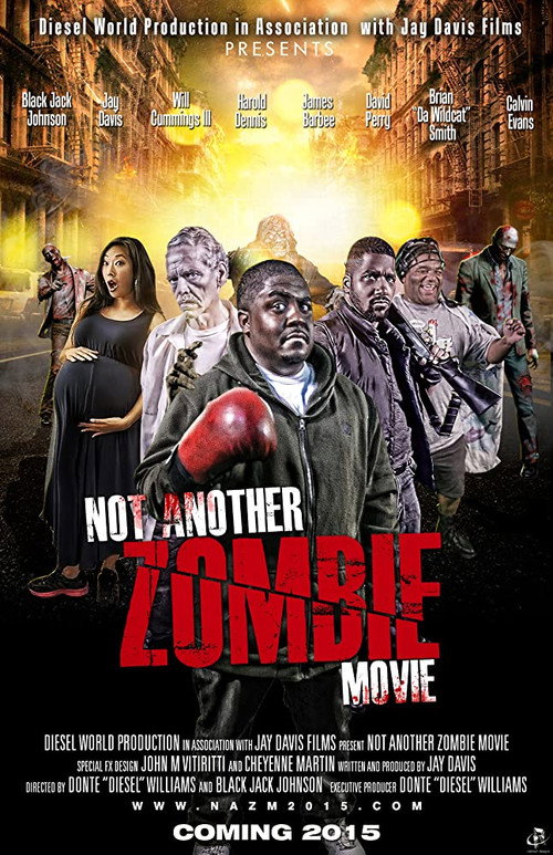 Not Another Zombie Movie....About the Living Dead — постер