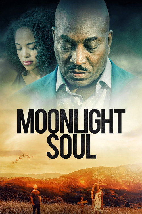 Moonlight Soul — постер