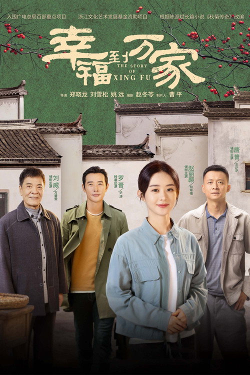 幸福到万家 — постер