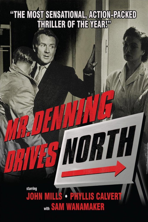 Mr. Denning Drives North — постер