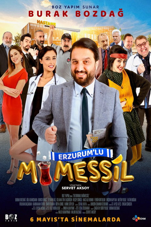 Erzurumlu Mümessil — постер