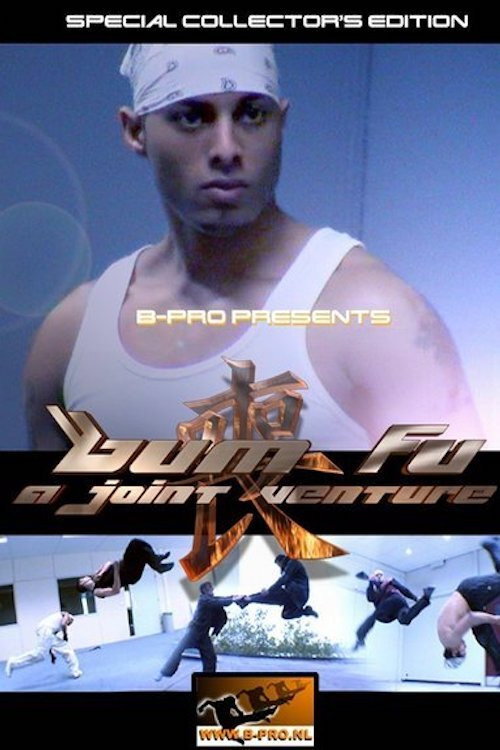 Bum Fu: A Joint Venture — постер