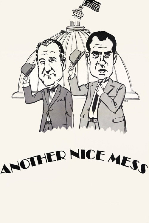 Another Nice Mess — постер