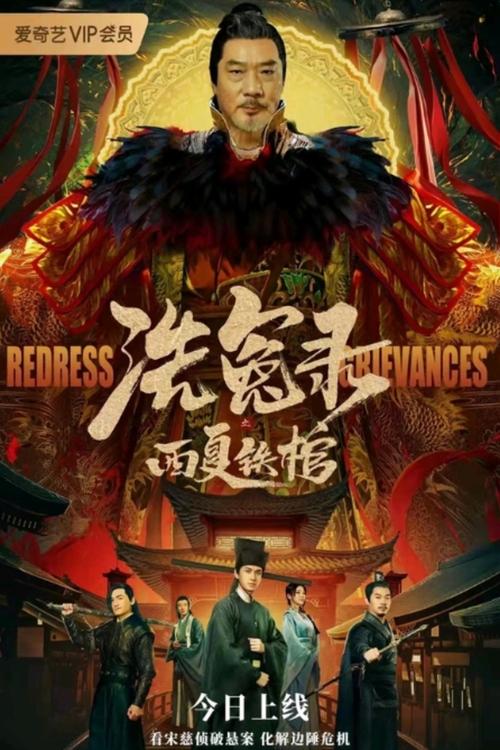 洗冤录之西夏铁棺 — постер