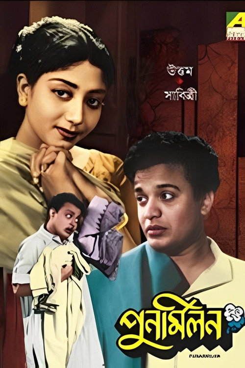 পুনর্মিলন — постер
