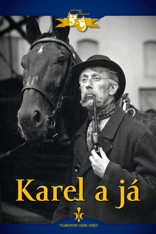Karel a já — постер