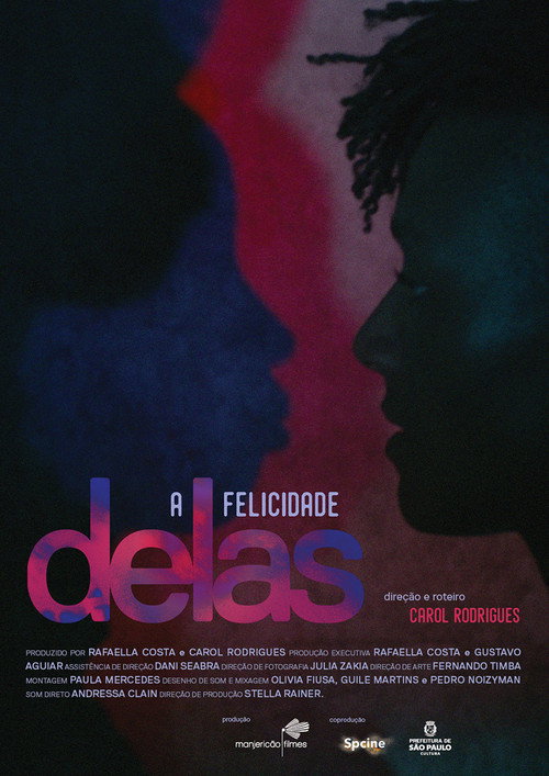 A Felicidade Delas — постер