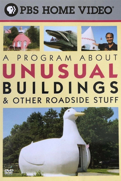 A Program About Unusual Buildings & Other Roadside Stuff — постер
