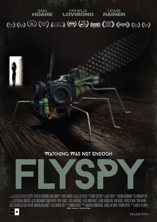 Flyspy — постер