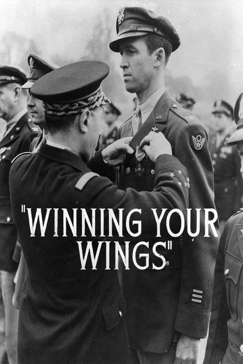 Winning Your Wings — постер