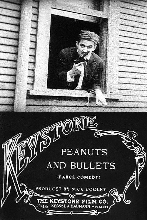 Peanuts and Bullets — постер