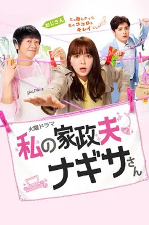 私の家政夫ナギサさん — постер