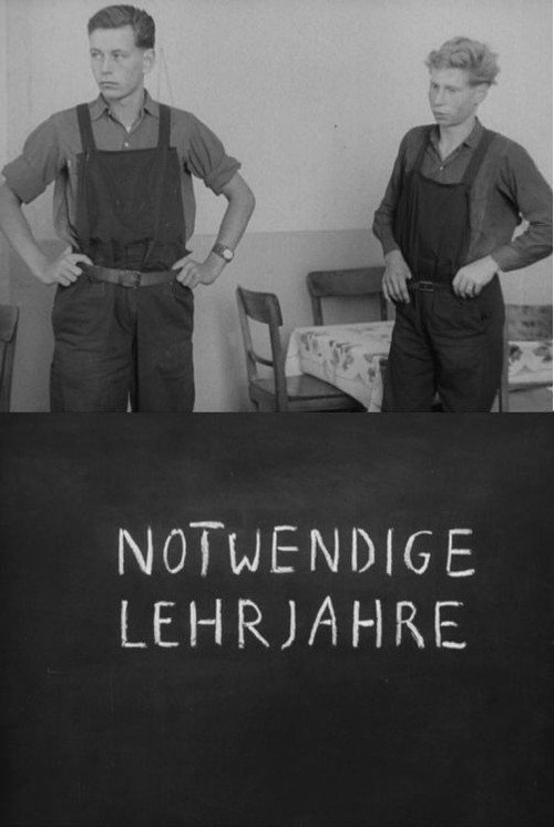 Notwendige Lehrjahre — постер