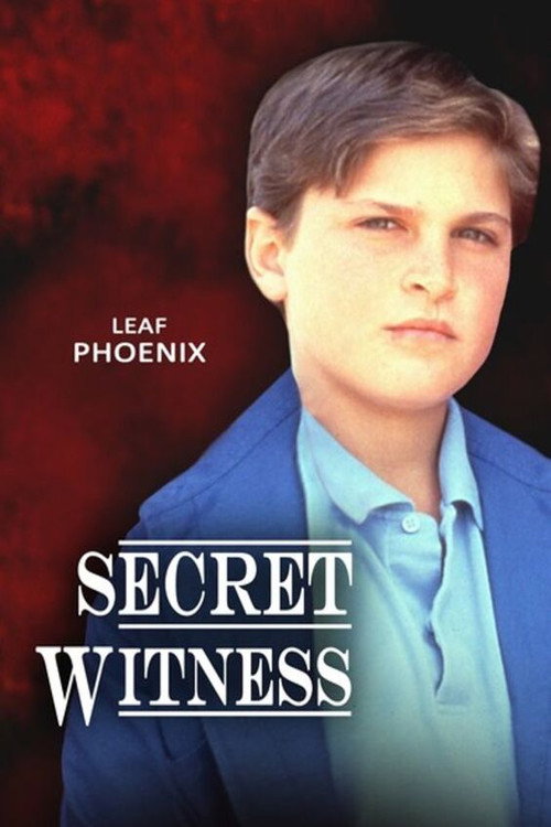 Secret Witness — постер