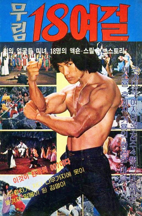 무림 18여걸 — постер