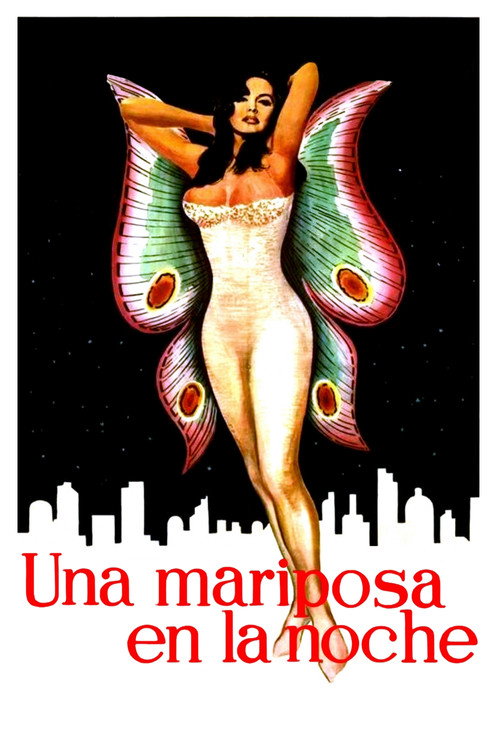 Una mariposa en la noche — постер