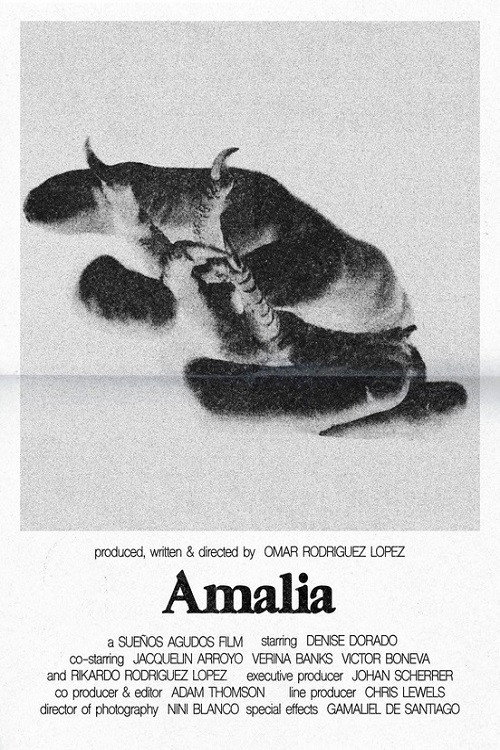 Amalia — постер