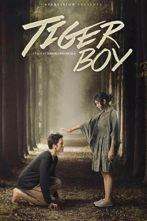 Tiger Boy — постер