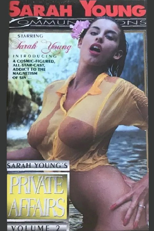 Private Affairs 2 — постер