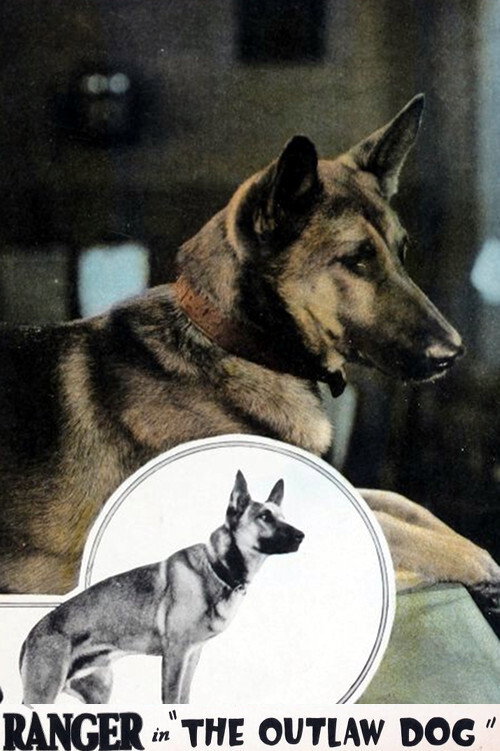 The Outlaw Dog — постер