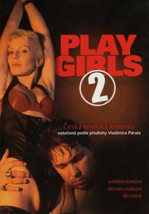 Playgirls 2 — постер