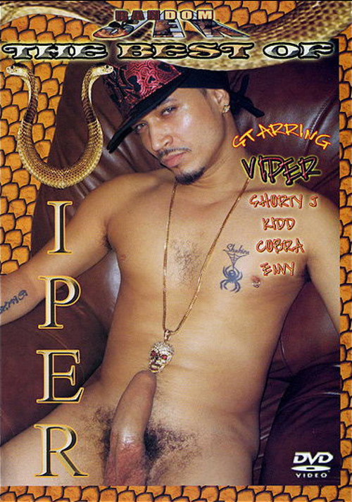 The Best of Viper — постер