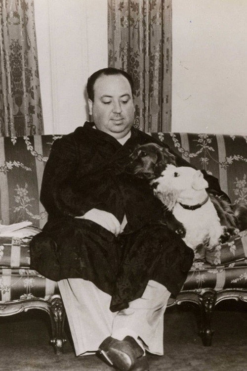 Alfred Hitchcock, films de jeunesse — постер