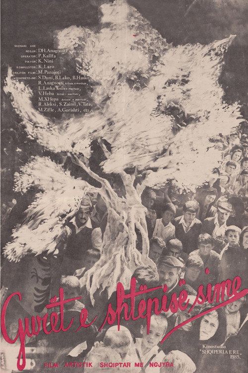 Gurët e shtëpisë sime — постер