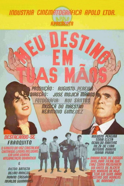 Meu Destino em Tuas Mãos — постер