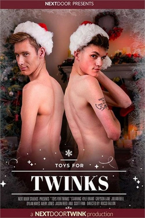 Toys For Twinks — постер