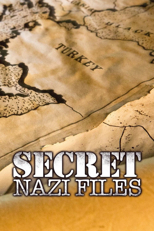 Nazi Secret Files — постер