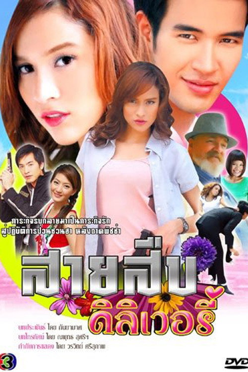 สายสืบดิลิเวอรี่ — постер
