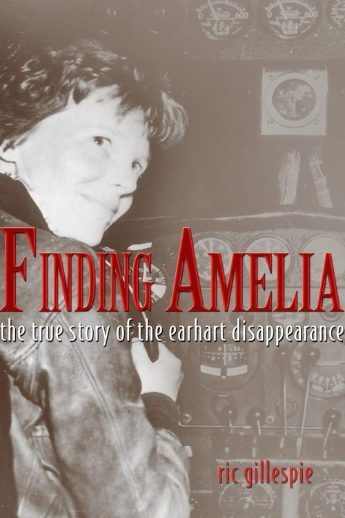 Finding Amelia — постер