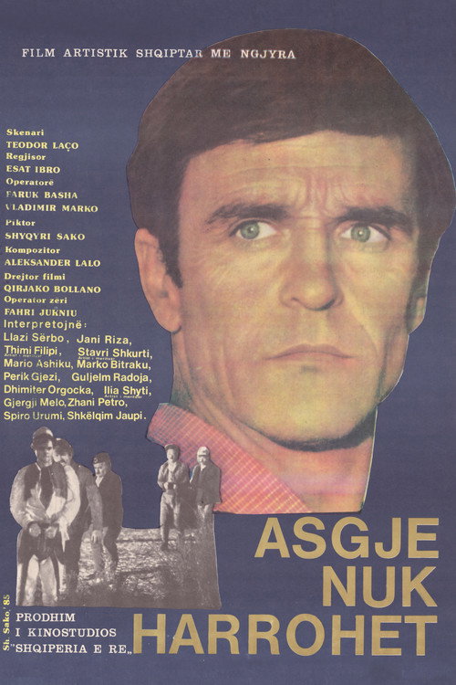 Asgjë nuk harrohet — постер