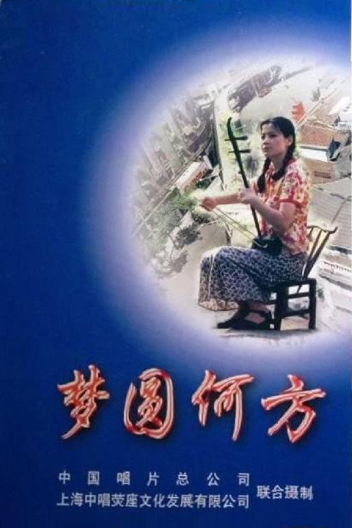 梦圆何方 — постер