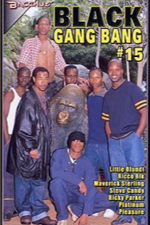 Black Gang Bang 15 — постер