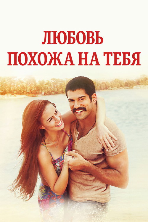 Любовь похожа на тебя — постер