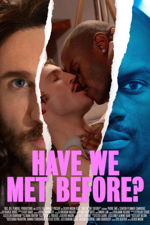 Have We Met Before? — постер