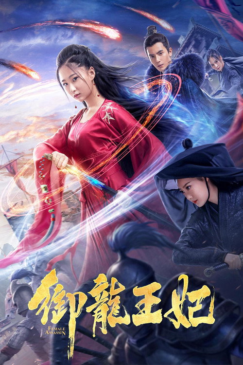 御龙王妃 — постер