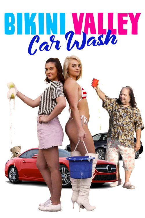 Bikini Valley Car Wash — постер