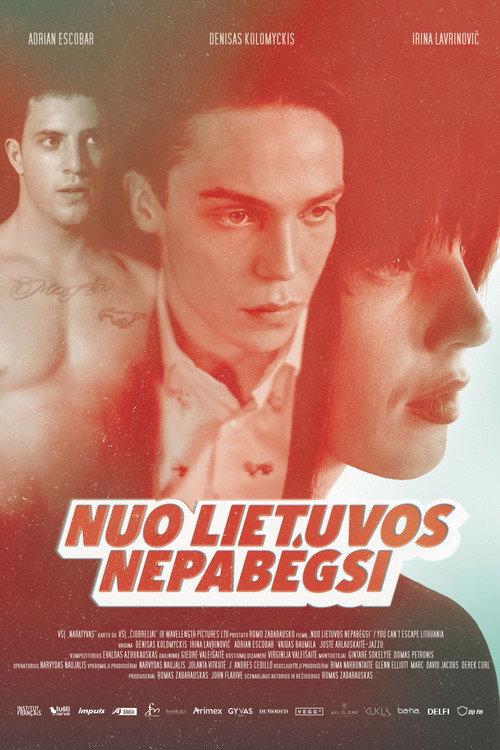 Nuo Lietuvos nepabėgsi — постер