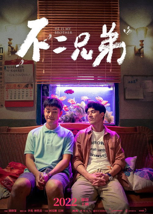 不二兄弟 — постер