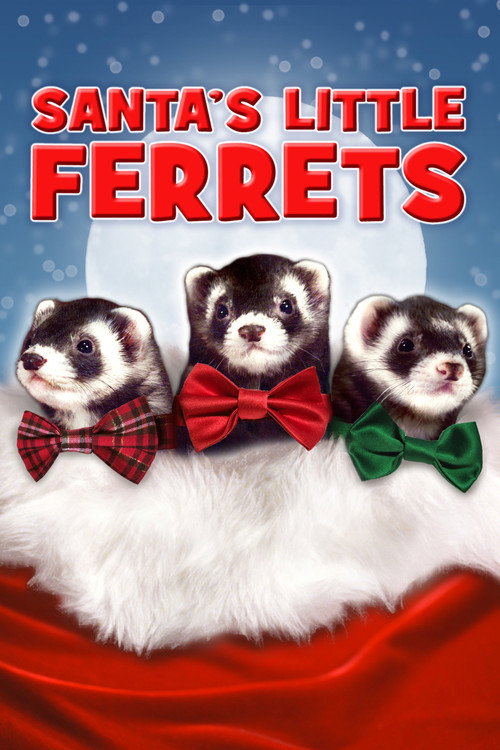 Santa's Little Ferrets — постер