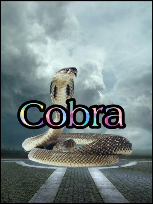 Cobra — постер