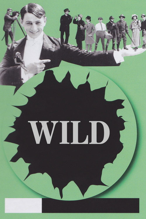 Wild — постер