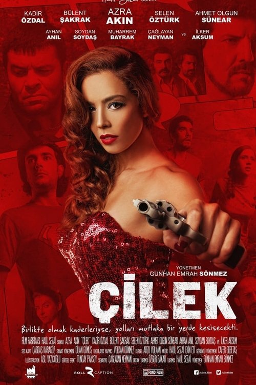 Çilek — постер