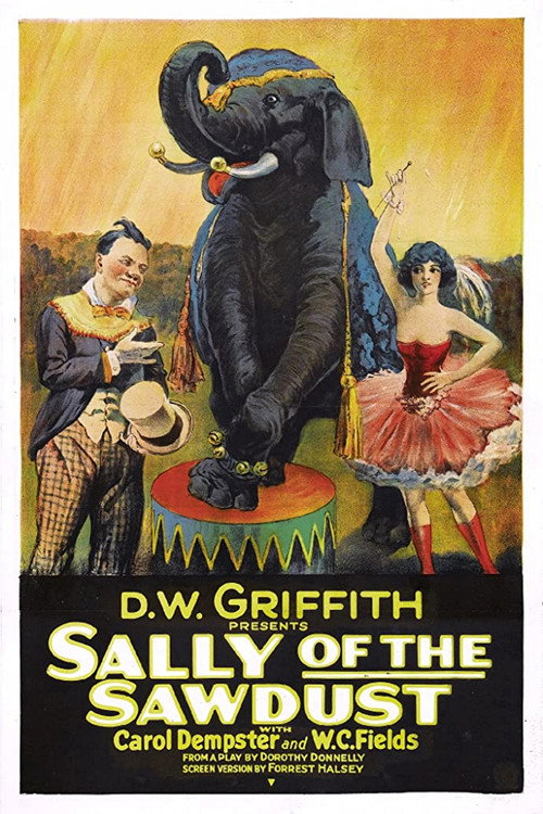 Sally of the Sawdust — постер