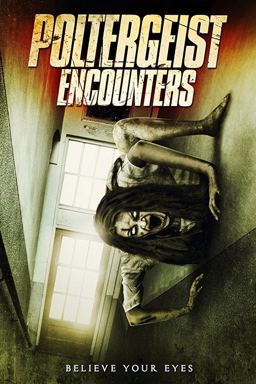 Poltergeist Encounters — постер