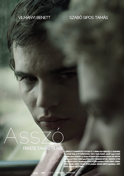Asszó — постер